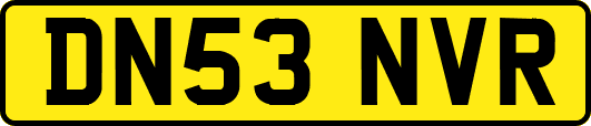DN53NVR