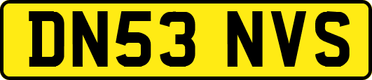 DN53NVS