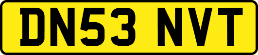 DN53NVT