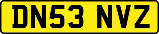 DN53NVZ