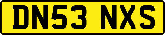 DN53NXS