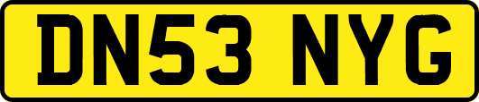 DN53NYG