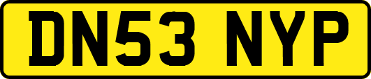 DN53NYP