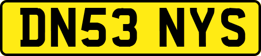 DN53NYS
