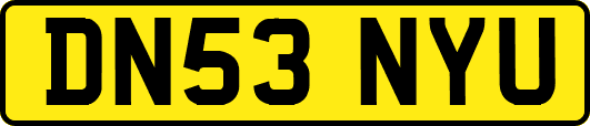 DN53NYU