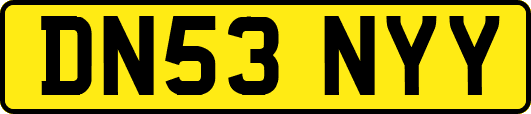 DN53NYY