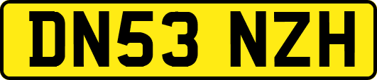 DN53NZH