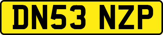 DN53NZP