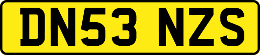 DN53NZS