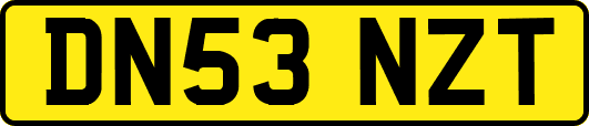 DN53NZT