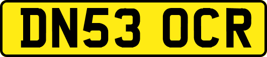 DN53OCR