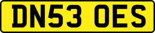 DN53OES