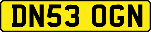 DN53OGN