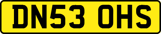 DN53OHS