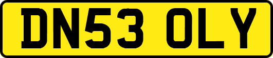DN53OLY