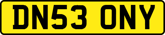 DN53ONY
