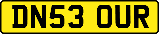 DN53OUR