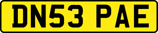 DN53PAE