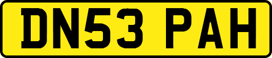 DN53PAH