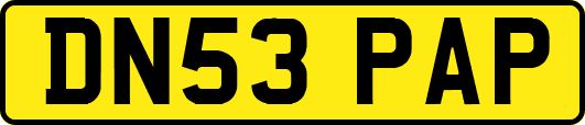 DN53PAP