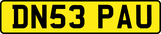 DN53PAU