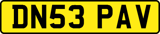 DN53PAV