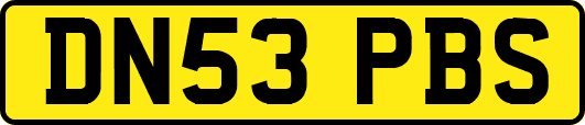 DN53PBS