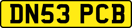 DN53PCB