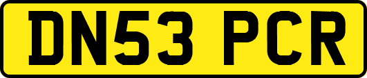 DN53PCR