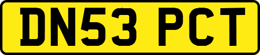 DN53PCT