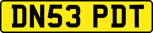 DN53PDT