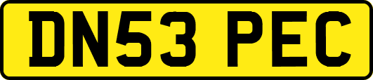DN53PEC