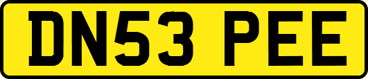 DN53PEE