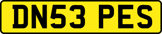 DN53PES