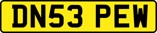 DN53PEW