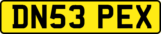 DN53PEX