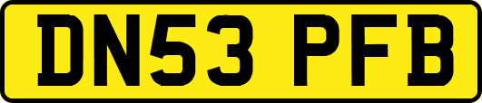DN53PFB