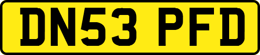 DN53PFD