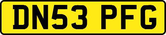 DN53PFG