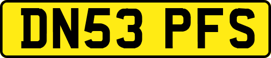 DN53PFS