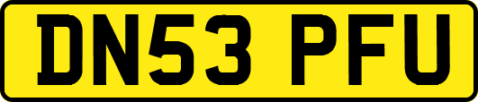 DN53PFU