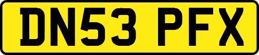 DN53PFX