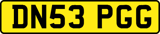 DN53PGG