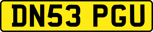 DN53PGU