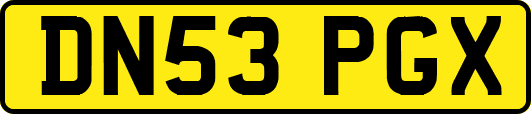 DN53PGX