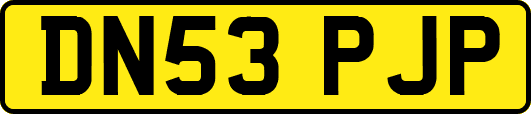 DN53PJP