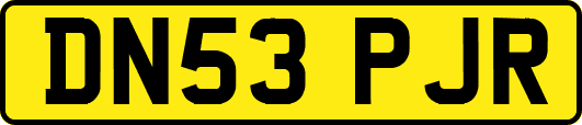 DN53PJR
