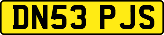 DN53PJS