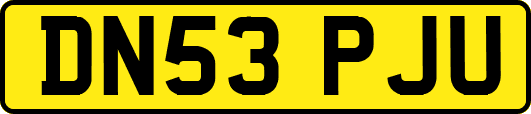 DN53PJU