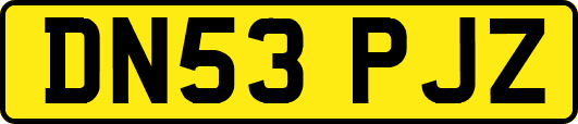 DN53PJZ